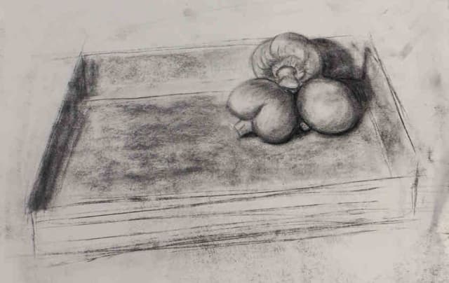 painting Charcoal drawing of mushrooms 2021